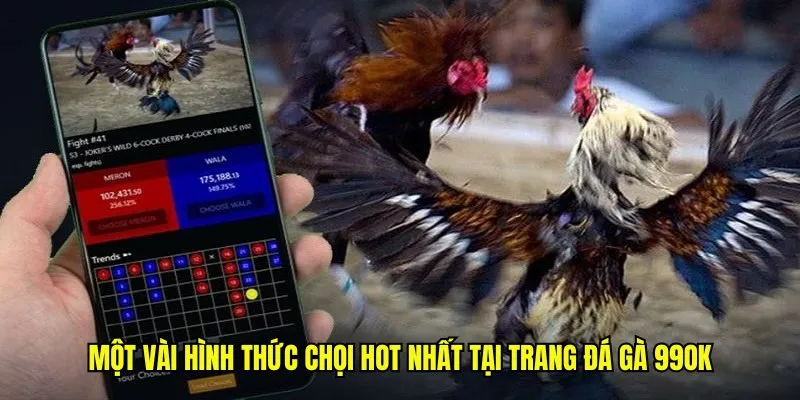 Một vài hình thức trang đá gà 99OK