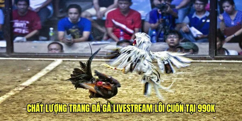 Chất lượng trang đá gà 99OK