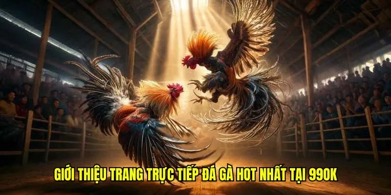 Giới thiệu trang trực tiếp đá gà hot nhất tại 99OK