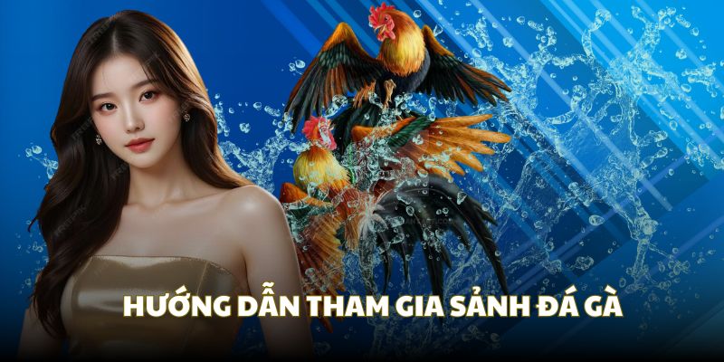 Quy trình trải nghiệm đá gà Thomo đơn giản