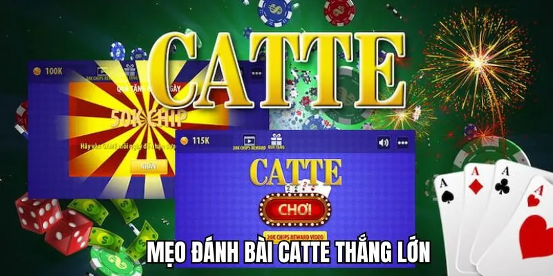 Mẹo hay của các chuyên gia về Catte