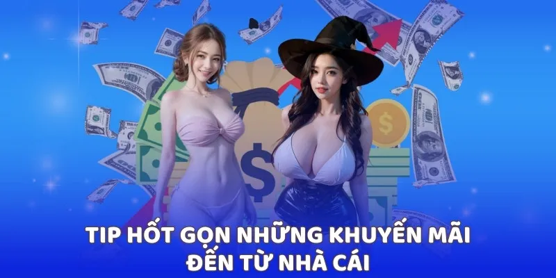 Tip hốt gọn những khuyến mãi đến từ nhà cái